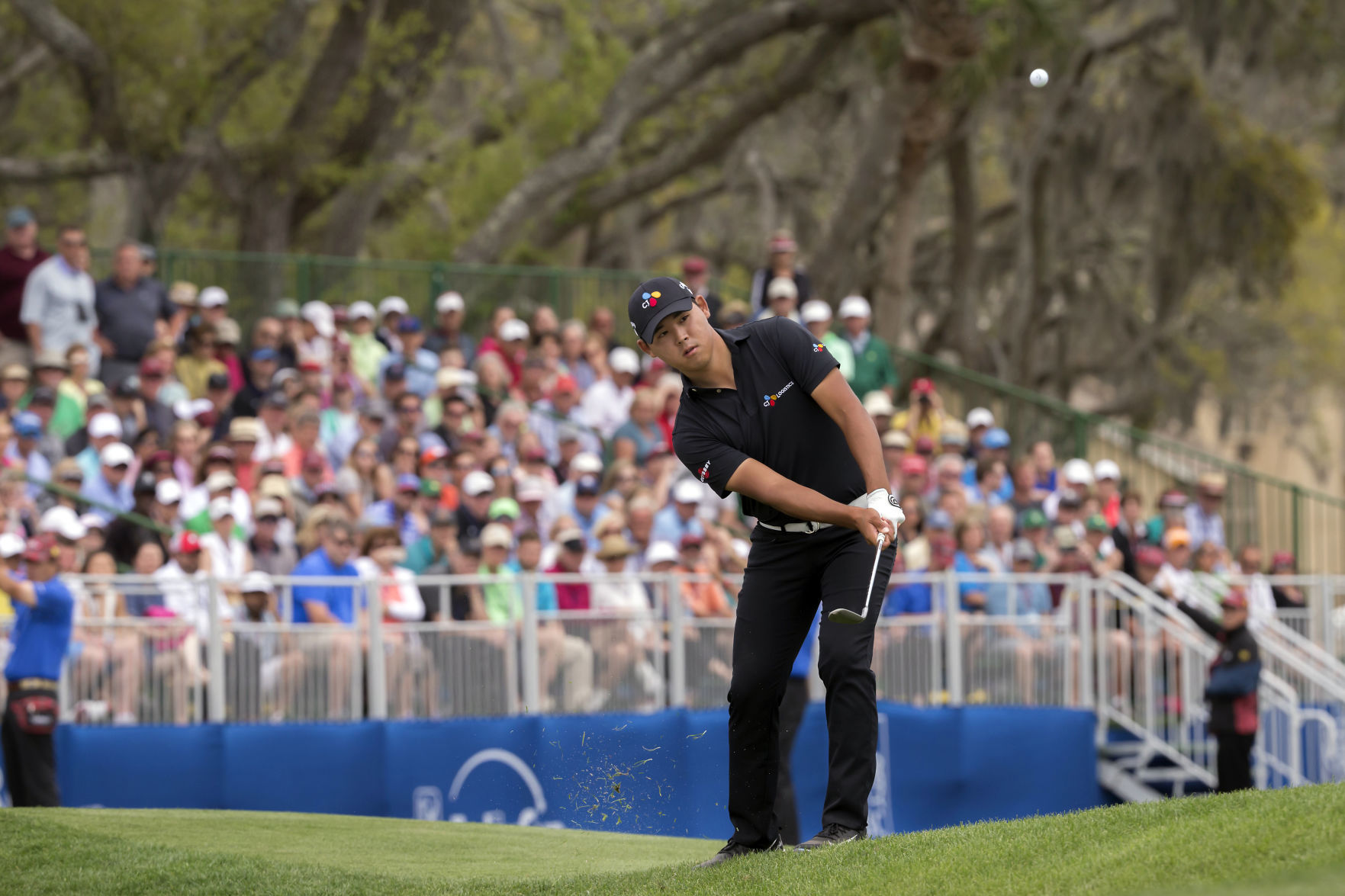 RBC Heritage Golf
